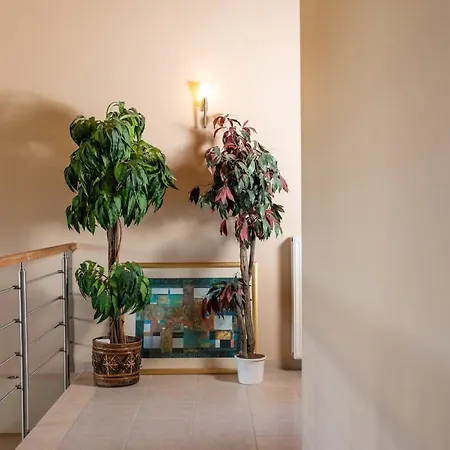 Villa Paula Cozy In Corfu Áfra