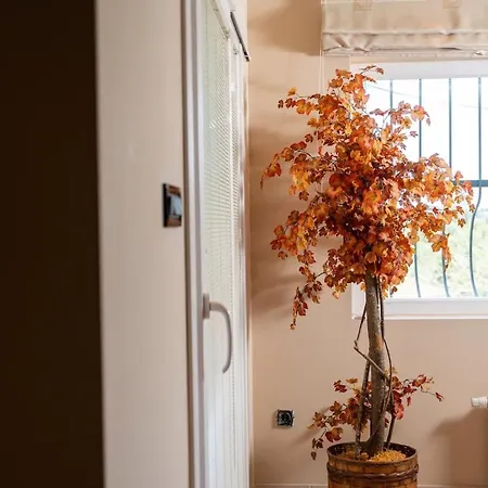 Paula Cozy In Corfu Vila