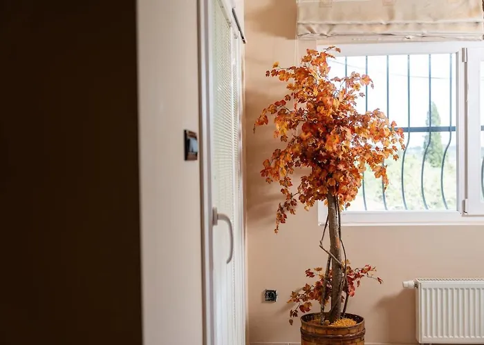 Paula Cozy In Corfu Villa