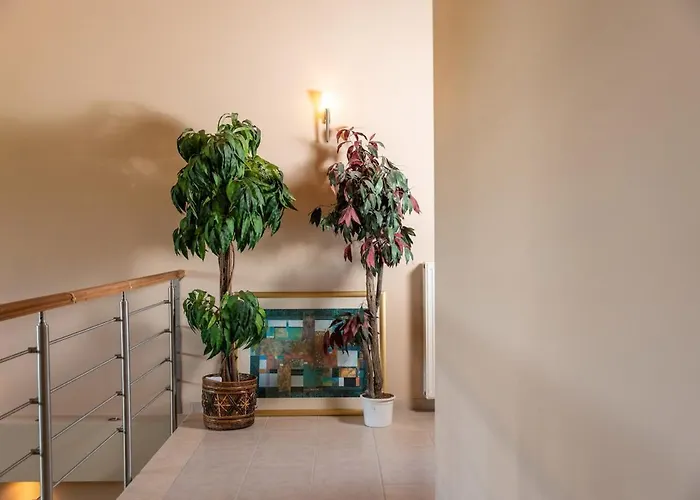 Villa Paula Cozy In Corfu Áfra